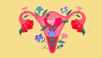 Quel est le rôle des ovaires ?