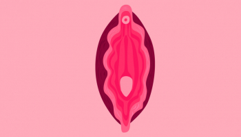 Mieux connaître le fonctionnement du clitoris