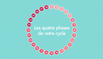 Mieux comprendre le cycle menstruel